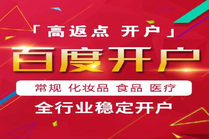 百度竞价与搜索引擎优化（SEO）结合的经典案例